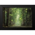 thumbnail image 2 of Podt, Martin 14x11 Black Modern Framed Museum Art Print Titled - Bright Lights, 2 of 5