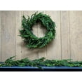 thumbnail image 5 of Regency International 60"Led Natural Touch Norfolk Pine Garland - 60, 5 of 6
