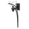 thumbnail image 1 of Golden Lighting Olympia Transitional Sconce Matte Black Clear Glass 1 Light Incandescent, 1 of 1