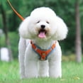 thumbnail image 3 of harmtty Stylish Pet Traction Rope Strong Buckle   for Pet Training   Fashionable, 3 of 7