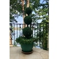 Bornbridge Artificial 4' Topiary Ball Tree Indoor/Outdoor
