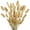 natural, variant on Home Decoration Lagurus Ovatus Rabbit Tail Dried Flowers, Real Flower, Eternal Flower Dried Grass,Flower Bouquet, Natural Material Shooting Props Dried Flowers 50PCS
