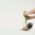 thumbnail image 4 of Alimento gourmet para aves silvestres Wagner's sin desperdicio 4,5 kg, paquete de 2, 4 of 5