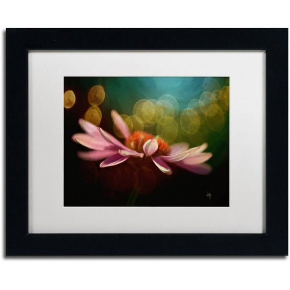 Trademark Fine Art "The Secret World of Coneflowers" Canvas Art by Lois Bryan White Matte, Black Frame