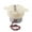 3V 10 turns, variant on WINDLAND Plastic Gearboxes Gear Motor Small 300 Gear Motor Gearboxes Reduction Motor
