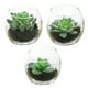 thumbnail image 1 of 3 uds plantas en macetas de vidrio suculentas artificiales pequeños adornos creativos planta de simulación bonsái, 1 of 5