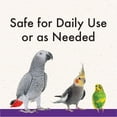 thumbnail image 2 of Vitakraft Quiko Daily Bird Supplement, Multivitamin & Mineral Powder, Unisex, All Ages, 1 oz, 2 of 4