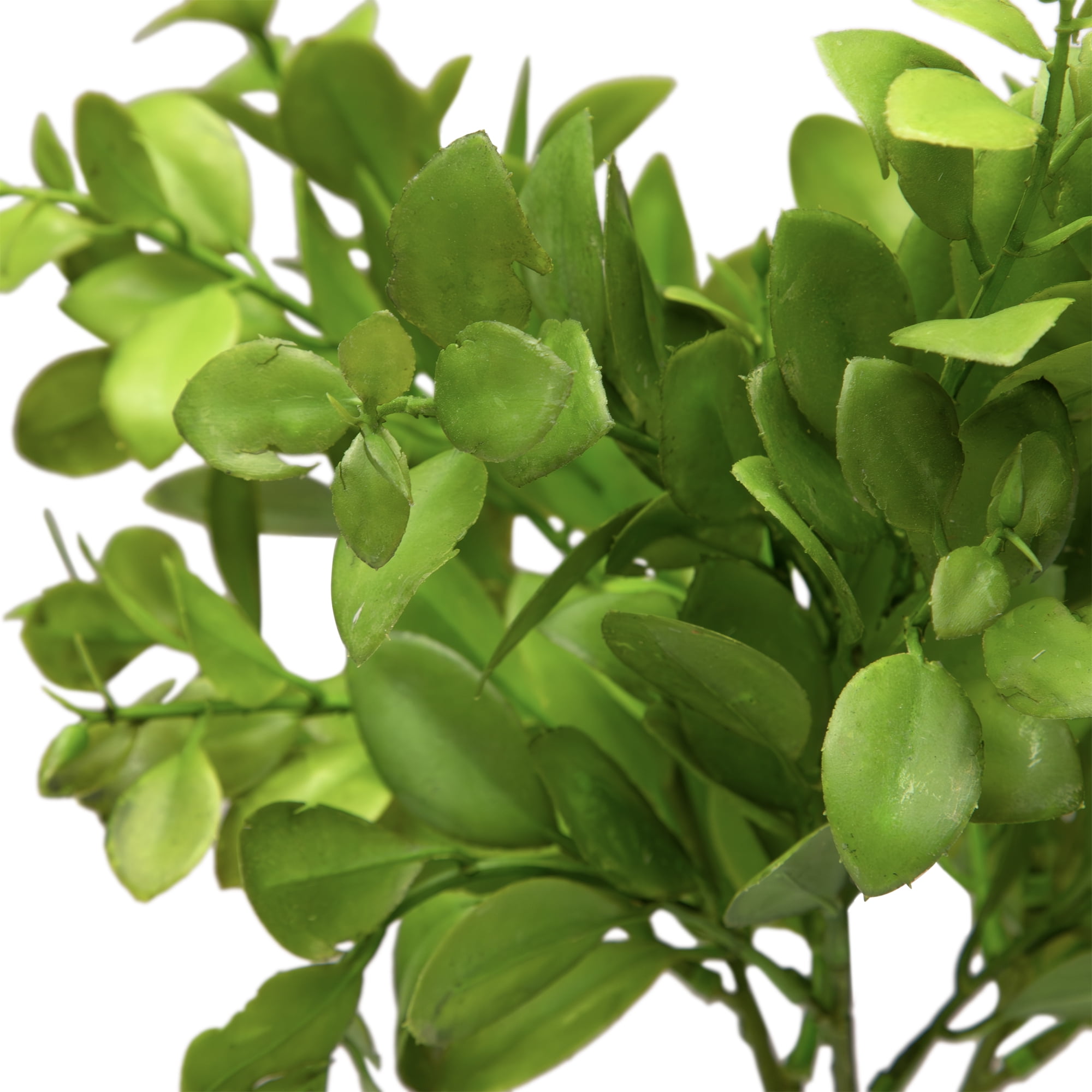 Northlight Japanese Boxwood Leaf Artificial Bundles - 15" - Set of 6