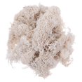 thumbnail image 2 of Preserved Fresh Moss DIY Floral Material Accessory Beautiful Decoration for Wedding Party Garden 50g (White), 2 of 3