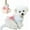 White, variant on Fancy Dog Dresses with Leash Ring, Embroidered Dog Wedding Dress, Bow Puppy Clothes for Small pet Girl Multi-Layer Lace Tutu Cat Outfit for Kitten Chihuahua Yorkie,Medium