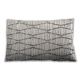 thumbnail image 1 of Ahgly Company Outdoor Rectangular Contemporary Lumbar Throw Pillow, 13 inch by 19 inch, 1 of 5