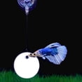 thumbnail image 4 of unbranded 2Jgo Transparente Acuario Betta Decorativo Para Entrenamiento, 4 of 8