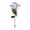 Purple, variant on Twfbrm Solar Flower Lights for Outdoor, 27" Waterproof LED Garden Lights with Realistic Carnation Flowers, Solar Powered Decorative Stake Lights Auto ON/Off Landscape Lights for Lawn Patio Pathway