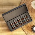thumbnail image 4 of Set de regalo de aceite difusor AirScent Hotel Metro City 5 Star, 10 ml, 4 of 7
