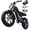 1500W 48V/15Ah Black, variant on DTTZH F6S Electric Bike for Adults, 2000W Peak Motor, 40MPH & 80 Miles, Electric Mountain Bike, 20" x 4" Fat Tire Off-Road Ebike, 48V/15Ah UL2849