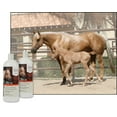 thumbnail image 2 of UltraCruz Equine Oatmeal Horse Shampoo and Conditioner Bundle, 32 oz each, 2 of 5