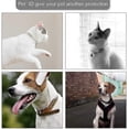 thumbnail image 2 of 6pcs Nickel Plated Iron Cat Id Dog Collar Tag With Paper Address Tag,dog Pendant Anti-lost Cat Id,silver, 2 of 2