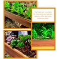 thumbnail image 4 of Maceta de madera antiséptica para decoración del hogar, maceta decorativa para exteriores, suculentas, rectangular, de madera para interiores., 4 of 6