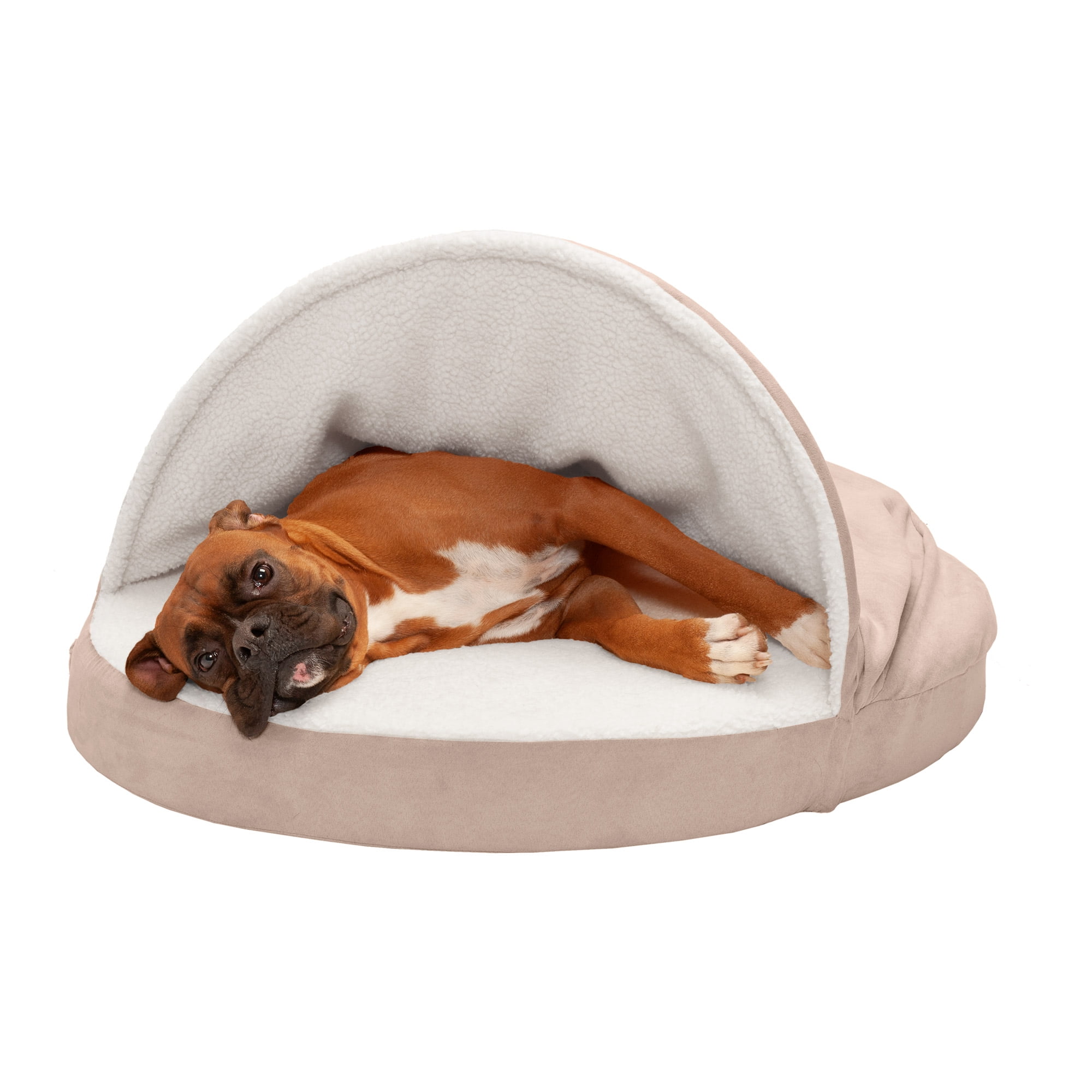 dog bed