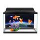 thumbnail image 5 of Etiqueta Engomada Ecológica Del Fondo Del Acuario, Etiqueta Engomada Del Acuario, Mascotas No Tóxicas Para El Acuario De Los Animales Del Tanque De Peces OTVIAP Fish Tank Sticker, 5 of 8