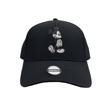 Disney Stand Alone Adult Unisex Baseball Cap