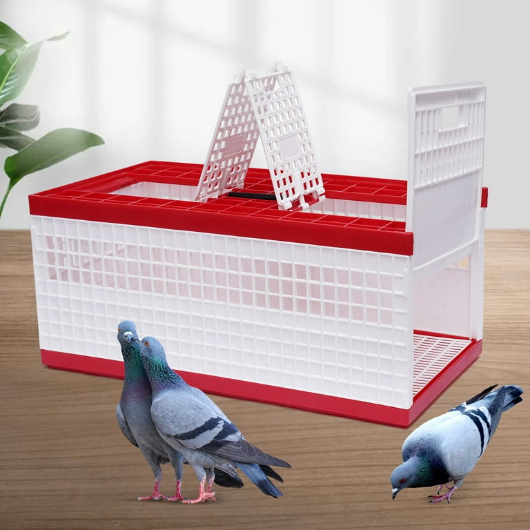 Pigeon Trap with Escape-Proof, Bird Trap Cage with One-Way Entry, Portable  Unharmful, Iron with Anti-Rust Paint,off-white 