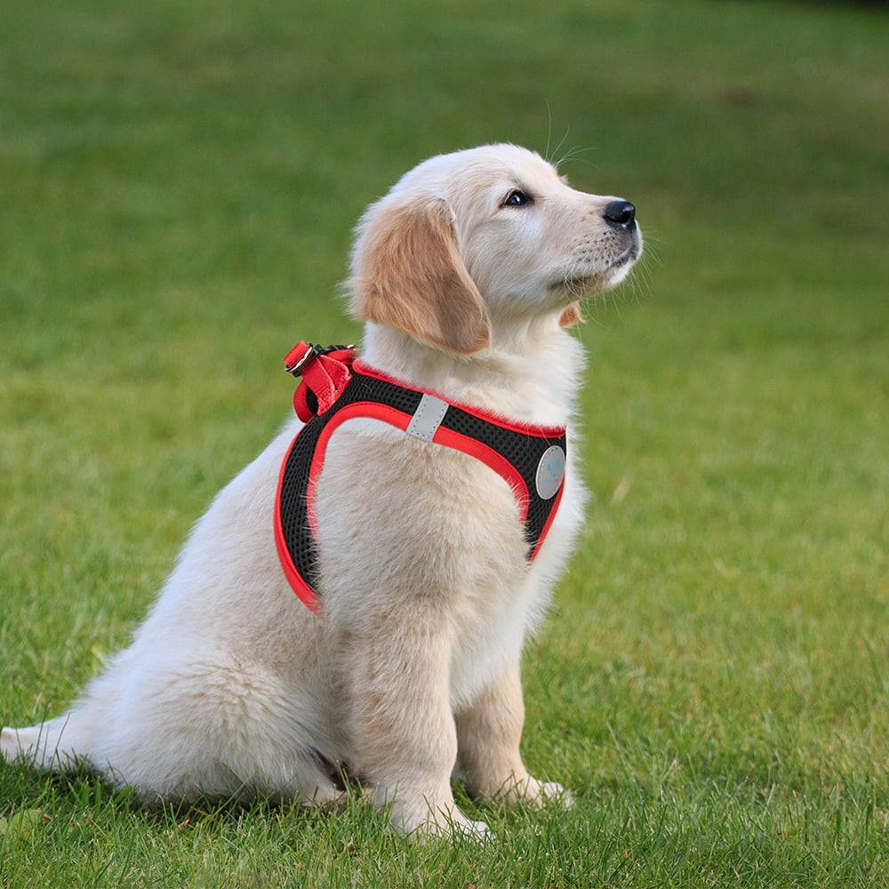 PHOEPET Step-in Dog Harness,Reflective Adjustable Dog Vest Harness, Soft Pet Walking Jacket with 2 Metal Leash Hooks for Dog and Cat