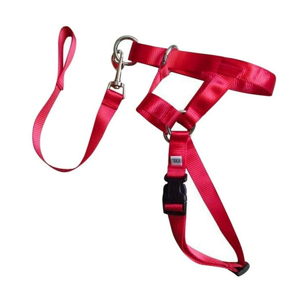 Zonghan Nylon Dog Training Head Collar No Pull, Head Harness Stops Dog