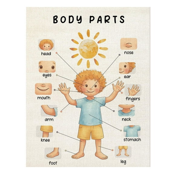 Body Parts Poster, Body Educational Learning Posters Body Parts Learning Wall Chart for Kids, Kindergarten Teaching Supplies, Classroom Poster for Bulletin Board or Classroom Decor
