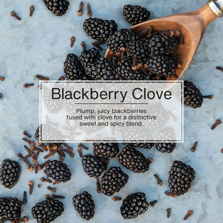LITTLE TREES Blackberry Clove Air Freshener 3-Pack Long-Lasting