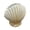 1, variant on Elegant Sea Shell Flower Pot With 3D Finishing Design Ideal For Small Plant