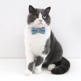 thumbnail image 4 of Collier pour Animaux de Compagnie Denim Simple: 3PCS Réglable Cou Cravate Collier Chat Noeud Papillon Collier, 4 of 10