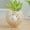 Multicolor, variant on RnemiTe-amo Flower Vase Owl Pot Ceramic Plant Pot Cactus Potted Planting Bonsai Pots Set
