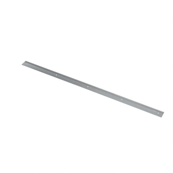 Baxter 01-1M6101-00202 Balayage de Porte d'Oem Véritable de 2 Po