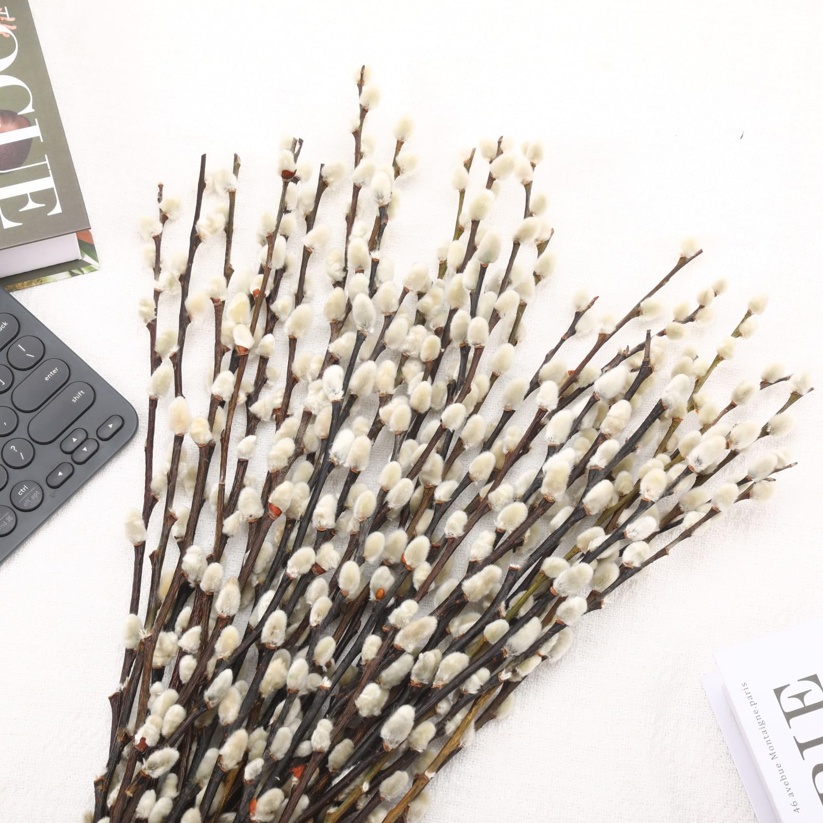 40Pcs Natural Preserved Dried Pussy Willow Branches for Vases, 15.7" Stems Real Willows, Snow Pussywillows, Dried Flowers for Indoor and Outdoor Decor, Wedding Home DIY Floral Art Plants Fireplace