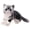 B, variant on Realistic Cat Plush Toy Stuffed Animal, 1-Pack 11.02x6.3 Inch Brown Tabby Kitty, Soft Animal Cushion Birthday Gift for Home Decor, bldnkj