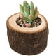 thumbnail image 2 of Portavelas de té, portavelas votivas de madera personalizadas para centros de mesa de boda, Halloween, fiesta de Navidad, día de San Valentín, decoración del hogar, 12 unidades Vhermosa WMZL-928-2, 2 of 7