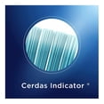 thumbnail image 4 of Cepillo dental Oral-B Clean Indicator suave 1 pza, 4 of 4