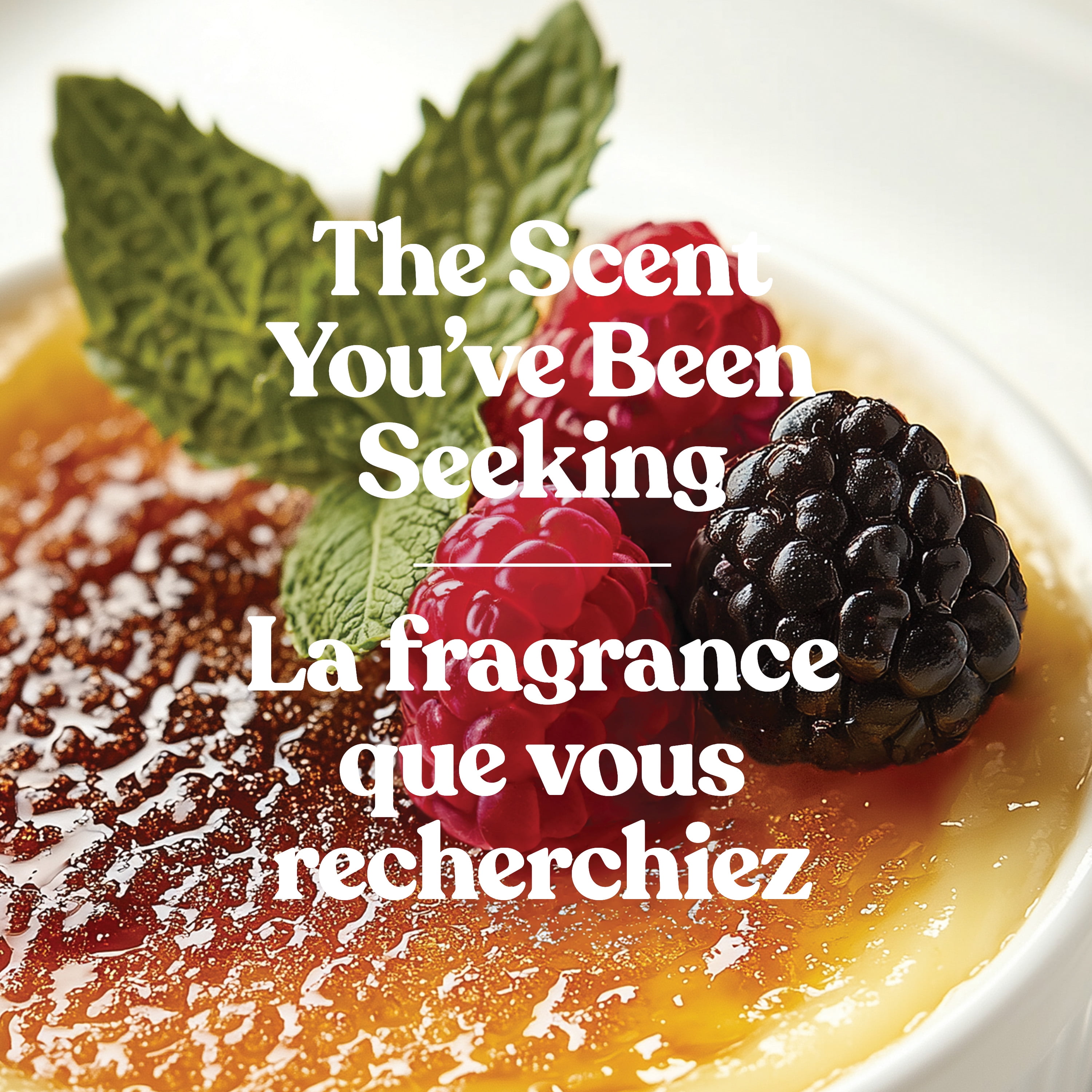 Bougie en pot parfumée Yankee Candle, collection Studio 1 mèche