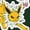 FOREST GREEN, variant on Pokémon - Eeveelution Stickers - Men's Crew Fleece Sweatshirt