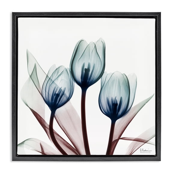 Stupell Industries Modern Chic Blue Translucent Tulips Black Floating Frame Canvas Art, 18 x 18, by Albert Koetsier