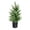 Potted Pine Tree #A, variant on Enyisa 34.7" Botanical Wall Decals Green Plant Potted Wall Stickers for Living Room Bedroom Home Decor Floral Wall Art for Seasonal Spring Decorations, 1Pack