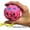 Pink, variant on Jack Attack Xtreme High Bounce & Agility Ball With "Swerve Grip Technology" Improve Reaction Time in Field Playground Backyard Streets Training facility Activity Gym (Pink)