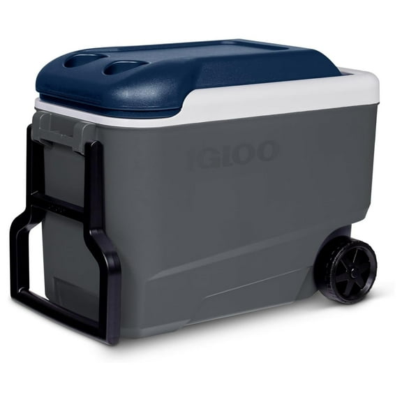 Maxcold 40 ( Gry.Wht.Aegean Sea.Blk) 00034814, 38 Litre