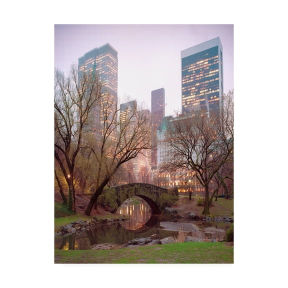 Trademark Fine Art 'Central Park, NYC' Canvas Art by Alan Klu
