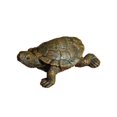 thumbnail image 1 of Tortuga de simulación de tortuga, tortuga de resina, micropaisaje, decoración de tortuga, decoración de jardín, decoración de césped, paisajismo de peceras, 1 of 5
