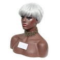 thumbnail image 6 of Pullover Toupee-Natural Short Grey White Wig Dress Costume Rose Net Synthetic Curly Wigs, Short Hair Wig with Side Bangs Fashionable Silver White, High Temperature Silkback to, 6 of 7