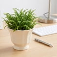 thumbnail image 5 of 4 Inch Round Ceramics Planter with Scalloped Rim,Mini Flowerpots with Drainage Plug for Indoor Outdoor Ferns Succulents, 5 of 6