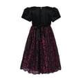 thumbnail image 2 of Little Girls Fuchsia Black Flower Bow Adorned Party Dress 3, 2 of 7