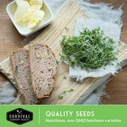 10 Variety Pack Microgreens Seeds - Nutritious Sprouting Vegetables (Annual)